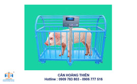 can-gia-suc-co-dien-tu-can-heo-hsc-500kg