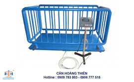 can-heo-dien-tu-500kg